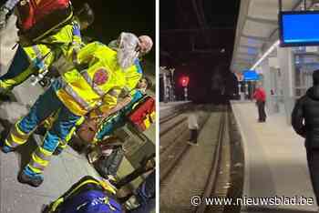 Man die op trein passagiers aanviel met breekmes, riskeert internering: “Het scenario voor een horrorfilm”