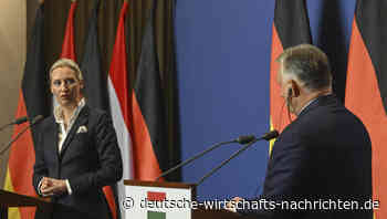 Weidel zu Besuch bei Viktor Orban: „Werden Pfad von Ungarn folgen“