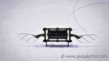 MIT Develops Tiny Robotic Insect Drones with 100x Longer Flight Time Than Before