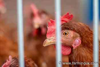 Defra expands mandatory housing order to more areas of England