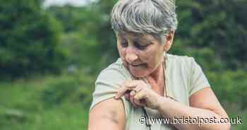 Doctor shares blood cancer symptom you should 'never ignore' – it shows on skin
