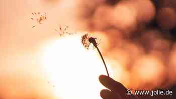 Diese Feuerzeichen sollten sich vor falschen Freunden hüten