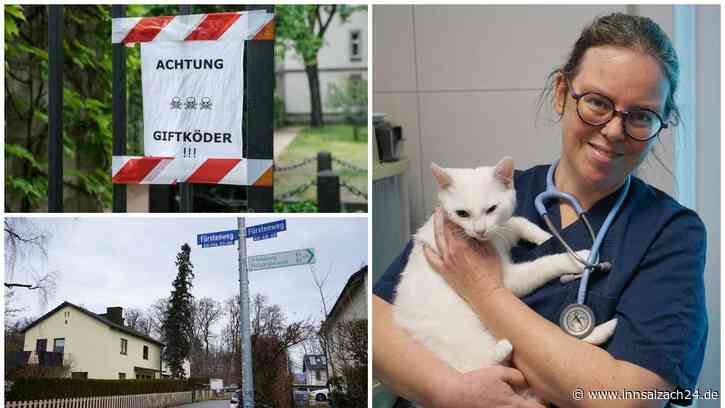 Tierhasser treibt in Freilassing sein Unwesen – „Sie befand sich schon im Todeskampf“