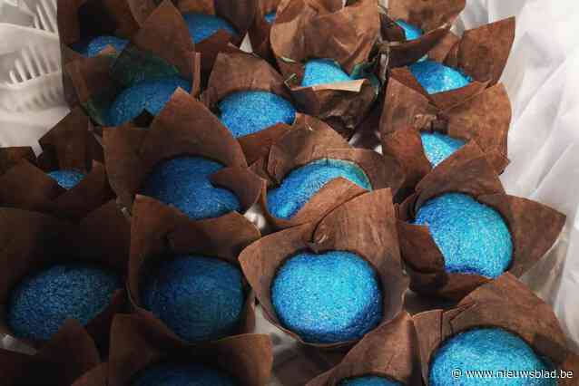 Met blauwe muffin testen onderzoekers je algemene gezondheid: “14 eenvoudige proefjes kunnen héél wat aan het licht brengen”