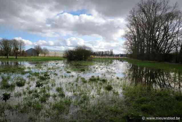 Actiegroep roept op om overstromingsgebied te erkennen, gemeente zegt weinig verschil te kunnen maken