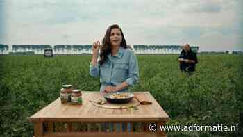 Ace is het nieuwe bureau van Hak