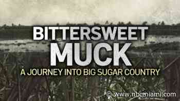 Broward County Libraries hosts special screening of NBC6 original documentary