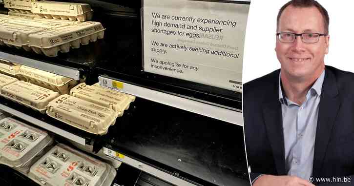 Worden eieren, koekjes en quiches binnenkort duurder? Zo zullen wij de Amerikaanse eierencrisis voelen