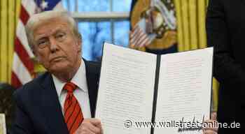 Trump-Profiteure: 7 Aktien mit bis zu 7,75 % Dividende, die von Trumps Zöllen profitieren