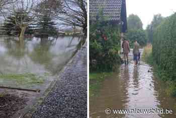 Bewoners kreunen onder ene overstroming na andere en eisen nu actie: “De bouwpromotoren gaan in Knokke stemmen, maar wij wonen hiér”