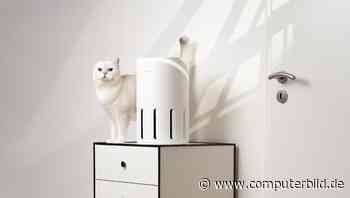 Air Klyna: Klyqa präsentiert seinen ersten Luftreiniger