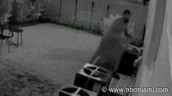 Alleged Peeping Tom arrested after peering in Miami woman's window twice: Police