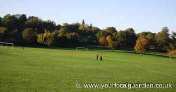 Dogs owned by 'multimillionaire' destroyed after ‘terrifying’ attack in Croydon park