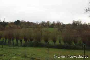 Veel minder geloosd afvalwater en opgeruimd stort: toestand Kwadebeekvallei gaat erop vooruit