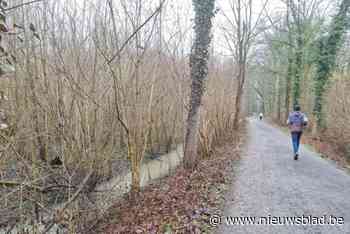 Bomen vallen om door vele regen, “maar ze vormen geen bedreiging voor wandelaars in bos”