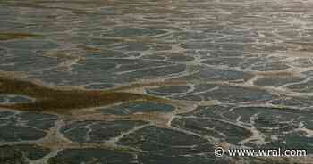 Forever chemicals in sewage sludge: A growing contamination crisis