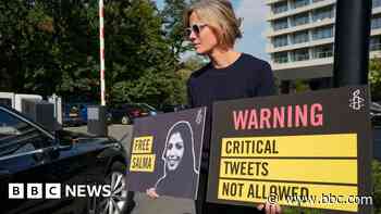 Saudi PhD student freed after being jailed over posts, activists say