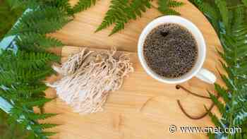 King of the Forest (and Fridge): Here's What to Know About Lion's Mane Mushrooms