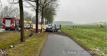 Meisje (4) komt om bij ernstig ongeluk op N377, bestuurder zwaargewond