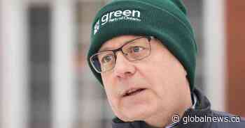 After 15 years at the helm, can Schreiner lead the Ontario Greens to a breakthrough?
