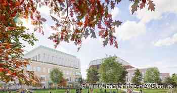 Council opposes Beehive Centre plans as government takes over final decision