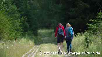 Dieses Event im Harz lockt die Menschen auf den Brocken