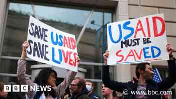 Fifty countries affected by USAID freeze, says WHO