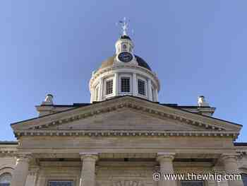 Kingston to consider help for businesses affected by Trump's U.S. tariffs