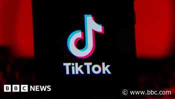 Data of four dead British teens may have been removed, says TikTok