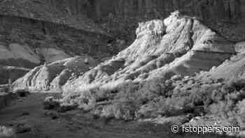 The Black and White Advantage