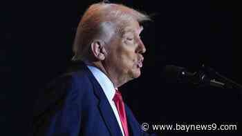 Judge clears way for Trump’s plan to downsize federal workforce with deferred resignation program