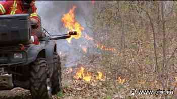 How controlled burns can prevent wildfires