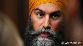 Get ready for an early federal election, NDP tells candidates in an internal memo