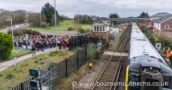 Dorset Council rejects Network Rail's level crossing bid
