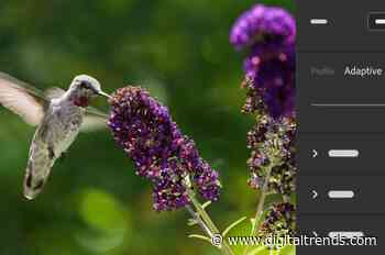 Adobe Lightroom and Camera Raw are getting two new AI editing features