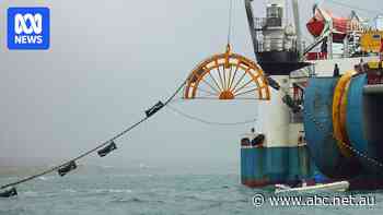 Basslink owner warns it may have to scoop up Hydro Tasmania's profits instead