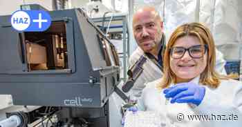 Hannover: MHH-Forscher entdecken Wirkstoff gegen Krebsmetastasen