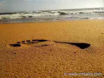 DAM and Carbon Footprint Control: Less Clutter, More Impact