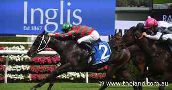 Rivellino races home in The Inglis Millennium | Tails