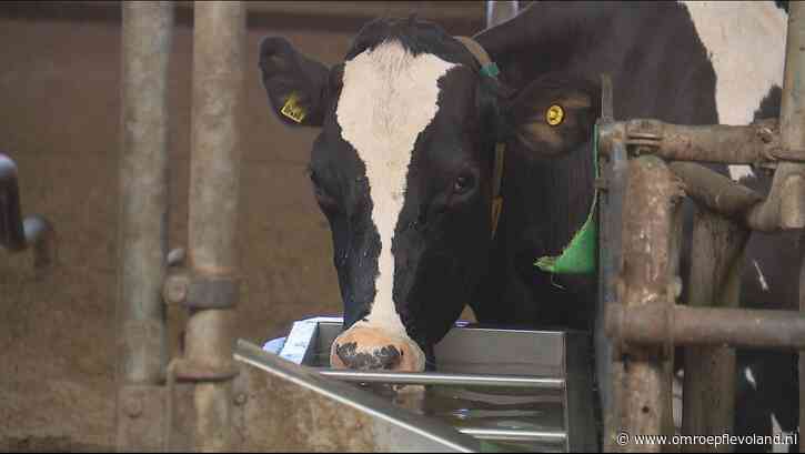 Flevoland - CDA voelt zich misleid door gedeputeerde Simonse over waterputten bij veehouders