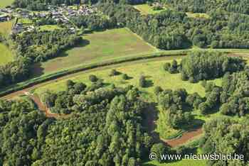 Nieuwe stap in strijd tegen overstromingen én verdroging: zeven meanders worden straks weer aangesloten op Demer
