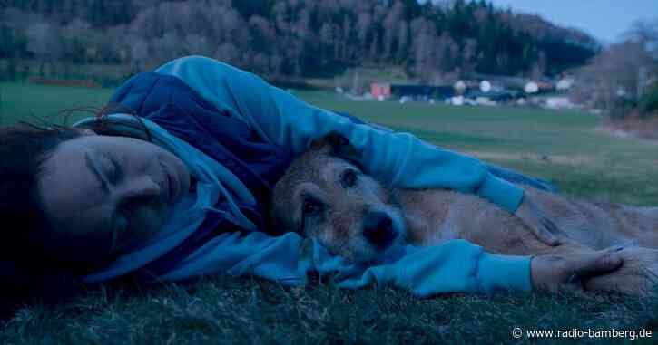 «Hundschuldig»: Eine Tragikomödie mit Biss