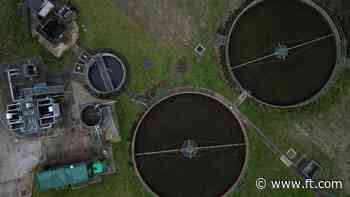 Most of Thames Water’s sewage plants unable to cope with demand