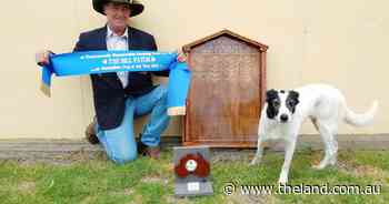 NSW duo truimph at Commonwealth Championship Sheep Dog Trials