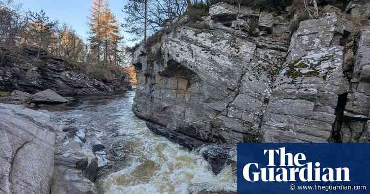 Country diary: Resilience is a tree growing out of a rock face | Merryn Glover