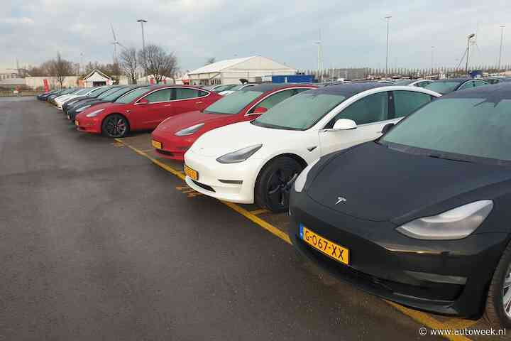Bosjes Tesla's Model 3 geëxporteerd: '30 miljoen euro subsidie weggegooid'