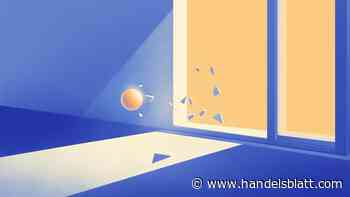 Ranking 2025: Den finanziellen Ruin verhindern: Die besten Anbieter für Versicherungen zur Privathaftpflicht