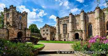 Durham University researchers make discovery which reshapes how scientists view organism death