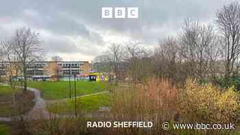 'Blood on walls' at Sheffield flats