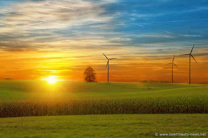 Wahlprogramme zur Energiewende: Wer will was?